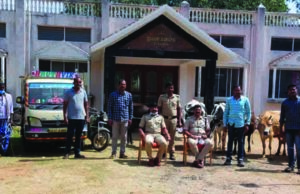 ಜಾನುವಾರು ಕಳವು ಪ್ರಕರಣ: 6 ಮಂದಿ ಬಂಧನ, 12 ಹಸು, ಒಂದು ಕರು ರಕ್ಷಣೆ