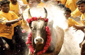 ವಿಶ್ವ ವಿಖ್ಯಾತ ಜಲ್ಲಿಕಟ್ಟು ಸ್ಪರ್ಧೆ ಆರಂಭ