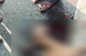 ಅಪರಿಚಿತ ವಾಹನ ಡಿಕ್ಕಿ: ಜಿಂಕೆ ಸಾವು