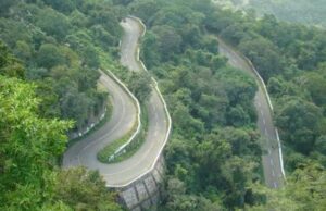 ಸತ್ಯಮಂಗಲ ಹುಲಿ ರಕ್ಷಿತಾರಣ್ಯದಲ್ಲಿ ರಾತ್ರಿ ವೇಳೆ ವಾಹನ ಸಂಚಾರ ರದ್ದುಪಡಿಸಿ ಹೈಕೋರ್ಟ್ ಆದೇಶ