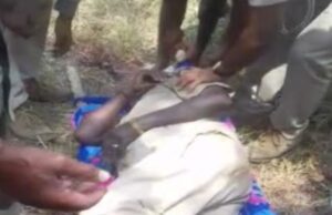 ಬಿಆರ್ ಟಿ ಹುಲಿ ಸಂರಕ್ಷಿತ ಪ್ರದೇಶದಲ್ಲಿ ಗಸ್ತಿನಲ್ಲಿದ್ದ ವಾಚರ್ ಮೇಲೆ ಕಾಡಾನೆ ದಾಳಿ