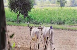 ಭೂಮಾಪನ ಶುಲ್ಕ ಇಳಿಸಿದ ಸರ್ಕಾರ