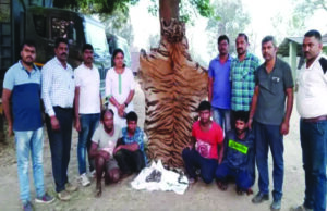 ಹುಲಿ ಚರ್ಮ ಮಾರಾಟಕ್ಕೆ ಯತ್ನ, ನಾಲ್ವರ ಬಂಧನ