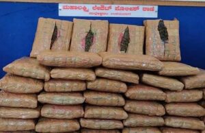 ಅಂತಾರಾಜ್ಯ ಮಾದಕ ವಸ್ತು ಕಳ್ಳಸಾಗಣೆ ಜಾಲ ಭೇದಿಸಿದ ಪೊಲೀಸರು; ಮೂವರ ಬಂಧನ