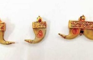 ಹುಲಿ ಉಗುರು ಮಾರಾಟ: ಅರಣ್ಯಾಧಿಕಾರಿಗಳಿಂದ ಇಬ್ಬರ ಬಂಧನ