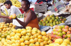 ಸಾಂಸ್ಕೃತಿಕ ನಗರಿಗೆ ಲಗ್ಗೆಯಿಟ್ಟ ಹಣ್ಣುಗಳ ರಾಜ ಮಾವು