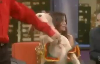 ಶ್ವಾನದೊಂದಿಗೆ ವ್ಯಕ್ತಿಯ ಡ್ಯಾನ್ಸ್: ಸಾಮಾಜಿಕ ಜಾಲತಾಣದಲ್ಲಿ ವಿಡಿಯೋ ವೈರಲ್