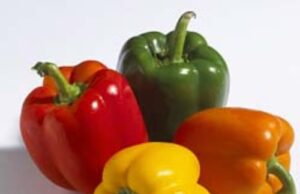 ಅಡುಗೆಯಲ್ಲಿ ಕ್ಯಾಪ್ಸಿಕಂ ತಪ್ಪದೇ ಬಳಕೆ: ಉಪಯೋಗವೇನು?