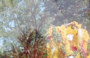 ʻನಡೆದಾಡುವ ದೇವರೆಂದೇ ಖ್ಯಾತಿʼಗಳಿಸಿದ್ದ ಬಸವ ನಿಧನ