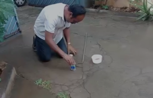 ಪೋಸ್ಟ್ ಬಾಕ್ಸ್ ಒಳಗೆ ಬೆಚ್ಚಗೆ ಕುಳಿತಿದ್ದ ಹಾವು