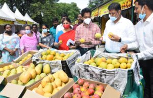 ನೈಸರ್ಗಿಕ ಪದ್ಧತಿಯಲ್ಲಿ ಹಣ್ಣಾದ ಮಾವು ಆರೋಗ್ಯಕ್ಕೆ ಪೂರಕ: ಡಾ. ಬಗಾದಿ ಗೌತಮ್