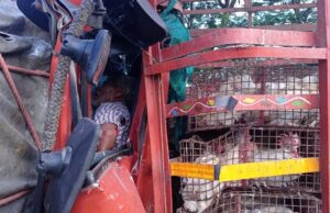 ಲಾರಿಗಳ ನಡುವೆ ಅಪಘಾತ: ಓರ್ವ ಸಾವು