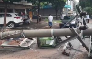 ನಿರಂತರ ಮಳೆ: ಧರೆಗುರುಳಿದ ಮರಗಳು