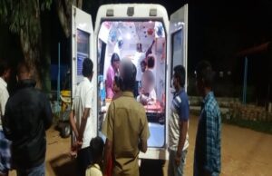 ಮರಳೆಕಾಯಿ ಬೀಜ ತಿಂದ ಐವರು ಮಕ್ಕಳು ಅಸ್ವಸ್ಥ: ಆಸ್ಪತ್ರೆಗೆ ದಾಖಲು