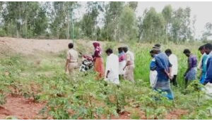 ಅರ್ಚಕನ ಪ್ರೀತಿಗೆ ಬಿದ್ದ ಗೃಹಿಣಿ: 10 ದಿನಕ್ಕೆ ಬೀದಿಪಾಲು