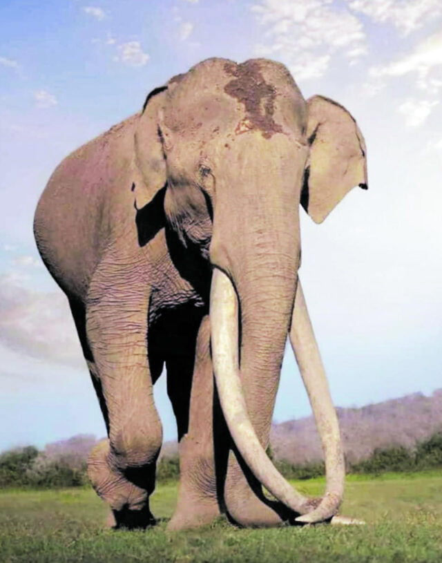 file7li8gxjc5ag1eii0u9a91655697340