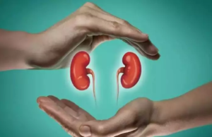 ಕಿಡ್ನಿಯ ಆರೋಗ್ಯಕ್ಕೆ ಇಲ್ಲಿವೆ ಕೆಲವು ಟಿಪ್ಸ್