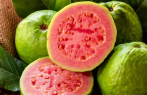 ಬಿಪಿ ಕಂಟ್ರೋಲ್ ಗೆ ದಿನಕ್ಕೊಂದು ಸೀಬೆಹಣ್ಣು ತಿನ್ನಿ