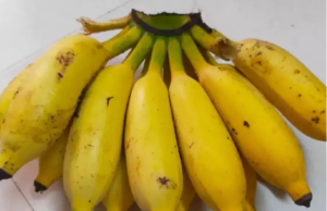 ಆರೋಗ್ಯಕ್ಕೆ ಒಳ್ಳೆಯದು ಏಲಕ್ಕಿ ಬಾಳೆಹಣ್ಣು