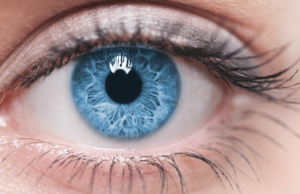 ಈ ಯೋಗಾಸನ ಮಾಡಿ ಕಣ್ಣಿನ ಆರೋಗ್ಯವನ್ನು ಕಾಪಾಡಿಕೊಳ್ಳಿ