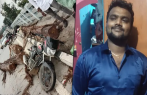 ಮರದ ದಿಮ್ಮಿ ತುಂಬಿದ್ದ ಲಾರಿ ಪಲ್ಟಿ, ಬೈಕ್ ಹಿಂಬದಿ ಸವಾರ ಸಾವು