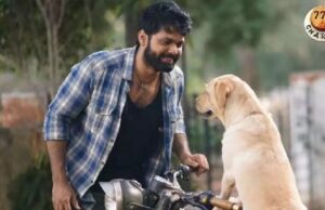 25 ದಿನ ಪೂರೈಸಿದ ʻ777 ಚಾರ್ಲಿʼ