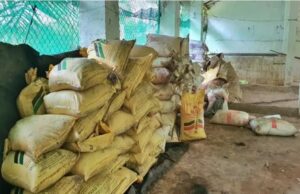 ಮೈಸೂರು: ನಕಲಿ ರಸಗೊಬ್ಬರ ತಯಾರಿಕೆ ಘಟಕದ ಮೇಲೆ ದಾಳಿ- ಪ್ರಕರಣ ದಾಖಲು