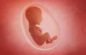 ಮಹಿಳೆ ಅವಿವಾಹಿತೆ ಎಂದು ಗರ್ಭಪಾತಕ್ಕೆ ಅವಕಾಶ ನಿರಾಕರಿಸುವಂತಿಲ್ಲ: ಸುಪ್ರೀಂ ಕೋರ್ಟ್ ಮಹತ್ವದ ತೀರ್ಪು