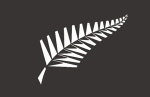 ನ್ಯೂಜಿಲೆಂಡ್ ಮಹಿಳಾ ಕ್ರಿಕೆಟ್ ತಂಡದ ಆಟಗಾರರಿಗೂ ಸಮಾನ ವೇತನ