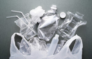 ಏಕ ಬಳಕೆಯ ಪ್ಲಾಸ್ಟಿಕ್ ನಿಷೇಧ