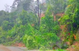 ಕೊಡಗು ಜಿಲ್ಲೆಯಲ್ಲಿ ಧಾರಾಕಾರ ಮಳೆ: ಶಾಲಾ- ಕಾಲೇಜುಗಳಿಗೆ ರಜೆ ಘೋಷಣೆ