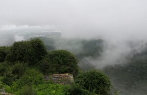 ಪ್ರವಾಸಿಗರನ್ನು ಸೆಳೆಯುತ್ತಿರುವ ಬಿಳಿಗಿರಿರಂಗನಬೆಟ್ಟ