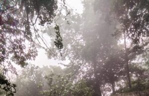 ಆಗುಂಬೆ ಘಾಟಿಯಲ್ಲಿ ಗುಡ್ಡ ಕುಸಿತ