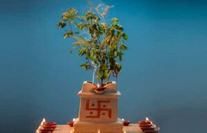 ನಾವು ಪೂಜಿಸುವ ಈ ತುಳಸಿ ನಿಜಕ್ಕೂ ಯಾರು ಗೊತ್ತಾ.? ಇಲ್ಲಿದೆ ಮಾಹಿತಿ