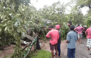ಮೂಡಿಗೆರೆ: ಮಳೆಯಿಂದ ಮರ ಬಿದ್ದು ತಾಯಿ-ಮಗಳು ಸಾವು