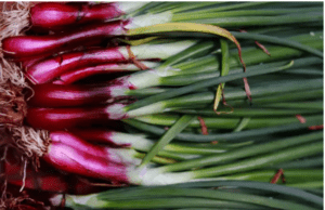 ಈರುಳ್ಳಿ ಹೂವಿನಲ್ಲಿರುವ ಆರೋಗ್ಯ ಪ್ರಯೋಜನಗಳು