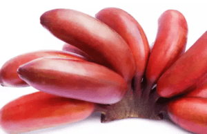 ಕೆಂಪು ಬಾಳೆಹಣ್ಣಿನಲ್ಲಿದೆ ಆರೋಗ್ಯ ಲಾಭಗಳು