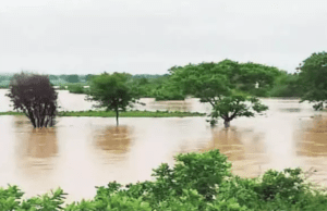 ಅಪಾಯ ಮಟ್ಟ ಮೀರಿ ಹರಿಯುತ್ತಿದೆ ಕೃಷ್ಣಾ, ತುಂಗಾಭದ್ರಾ ನದಿಗಳು