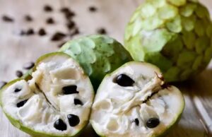 ಸಕ್ಕರೆ ಕಾಯಿಲೆ ಇರುವವರು ಸೀತಾಫಲ ಹಣ್ಣು ಸೇವಿಸಬಹುದೇ?