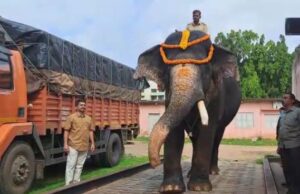 ದಸರಾ ಗಜಪಡೆಯಲ್ಲಿ ಅರ್ಜನನೇ ಬಲಶಾಲಿ