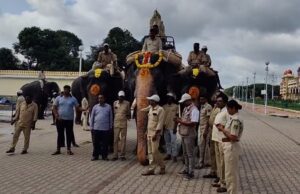 ದಸರಾ: ಅಂಬಾರಿ ಆನೆಗೆ ಭಾರ ಹೊರಿಸುವ ತಾಲೀಮು ಆರಂಭ