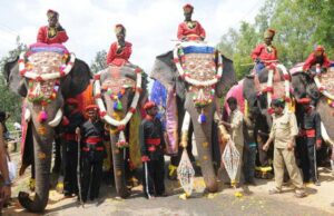 ಮೈಸೂರು: ಆಗಸ್ಟ್ 21 ರಂದು ವೀರನಹೊಸಳ್ಳಿಯಲ್ಲಿ ಗಜಪಯಣ