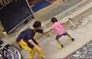 ನಾಗರಹಾವಿನಿಂದ ಮಗನ ರಕ್ಷಿಸಿದ ತಾಯಿ