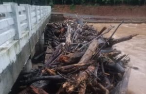 ಮೈದುಂಬಿ ಹರಿಯುತ್ತಿರುವ ಪಯಸ್ವಿನಿ ನದಿ: ಹಲವು ಮನೆಗಳಿಗೆ ನೀರು