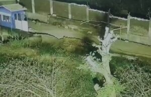 ಮೈಸೂರಿನ ಆರ್’ಬಿಐ ಆವರಣದಲ್ಲಿ ಚಿರತೆ ಪ್ರತ್ಯಕ್ಷ: ನೌಕರರು, ನಿವಾಸಿಗಳಲ್ಲಿ ಆತಂಕ