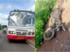 ಬಸ್- ದ್ವಿಚಕ್ರ ವಾಹನ ಡಿಕ್ಕಿ: ತಂದೆ, ಮಗ ಸ್ಥಳದಲ್ಲೇ ಸಾವು