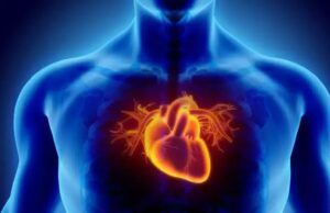 ಹೃದಯ ಸ್ತಂಭನ : ಭಾಗ ಎರಡು