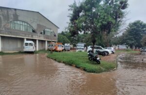 ಧಾರಾಕಾರ ಮಳೆ: ತಗ್ಗು ಪ್ರದೇಶಗಳಿಗೆ ನುಗ್ಗಿದ ನೀರು