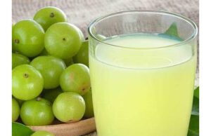 ಬೆಟ್ಟದ ನೆಲ್ಲಿಕಾಯಿ: ಕೊಬ್ಬಿನಂಶವನ್ನು ಕಡಿಮೆ ಮಾಡುವ ಗುಣ