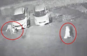 ಮಗನೊಂದಿಗೆ ಸೇರಿ ಗಂಡನನ್ನು ಕೊಂದ ಮಹಿಳೆ: ದೇಹ 10 ಭಾಗ ತುಂಡು